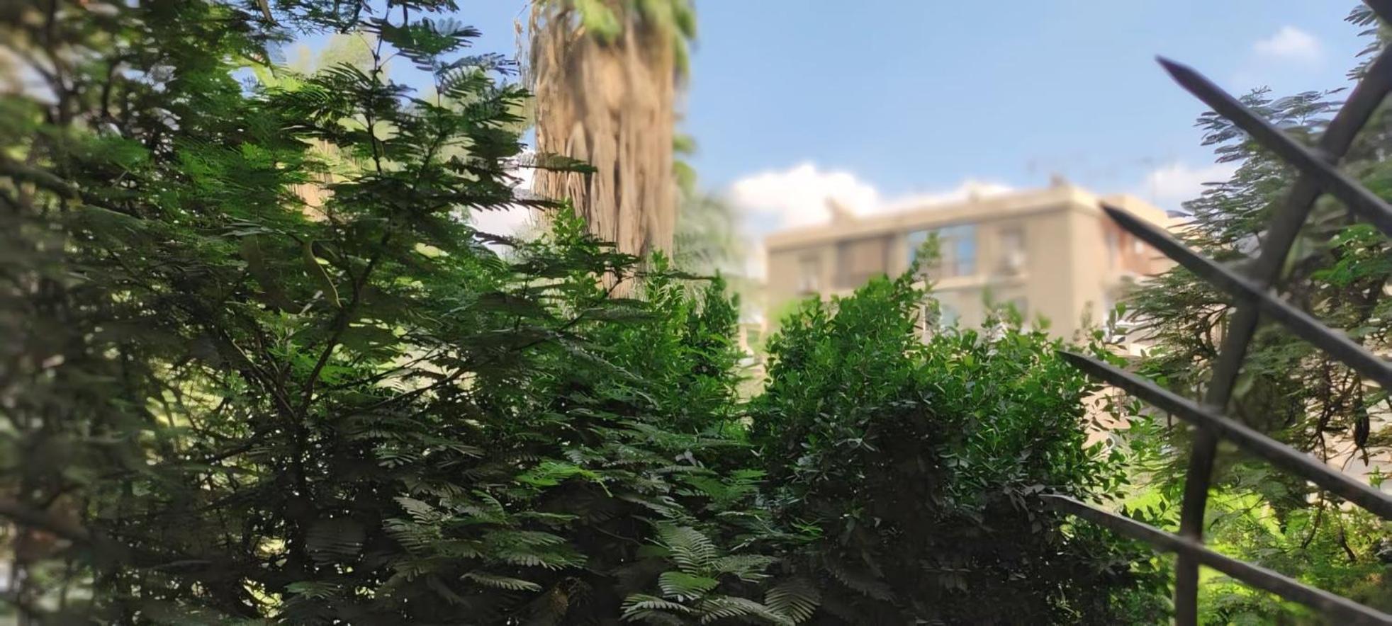 Apartment Maadi